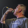 Click to enlarge GutterPunk - Professional Concert Photography